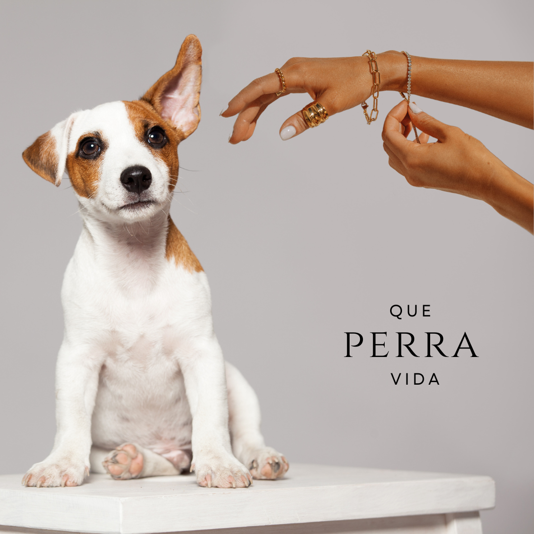 perra joyeria